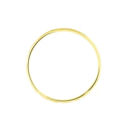 Alliance Clotilde Ruban Plat Or Bicolore