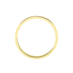 Alliance Daphna Ruban Plat Or Bicolore