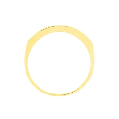 Alliance Davila Or Jaune Oxyde De Zirconium