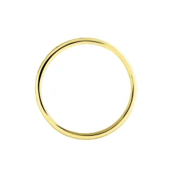 Alliance Hevan Ruban Or Bicolore