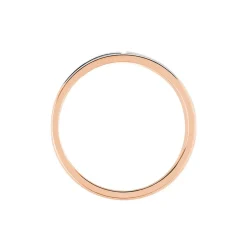 Alliance Hevan Ruban Or Bicolore