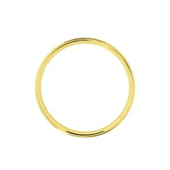 Alliance Laumer Ruban Or Bicolore