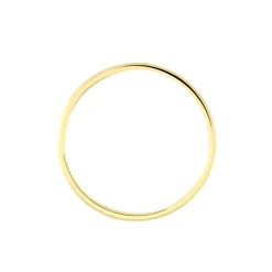 Alliance Prescilia Ruban Plat Or Bicolore