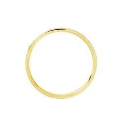 Alliance Raye Mat Ruban Plat Or Bicolore