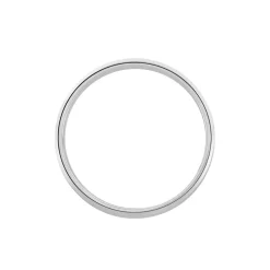 Alliance Rominus Ruban Plat Palladium Blanc