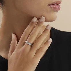 Alliance Tournesol Or Blanc