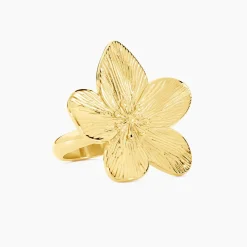 Bague Barbade Acier Jaune