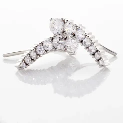 Boucles D'oreilles Grimpantes Aldrick Argent Blanc Oxyde De Zirconium