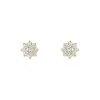 Boucles D'oreilles Or Jaune Eleanor Oxydes