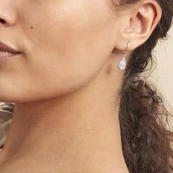 Boucles D'oreilles Pendantes Perce-neige Argent Oxyde De Zirconium