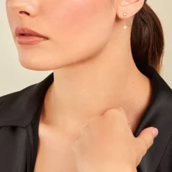 Boucles D'oreilles Pendantes Stellar Or Jaune Oxyde De Zirconium