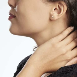 Boucles D'oreilles Puces Aconit Or Jaune Oxyde