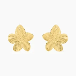 Boucles D'oreilles Puces Barbade Acier Jaune