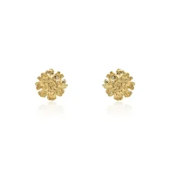 Boucles D'oreilles Puces Dyonis Acier Jaune