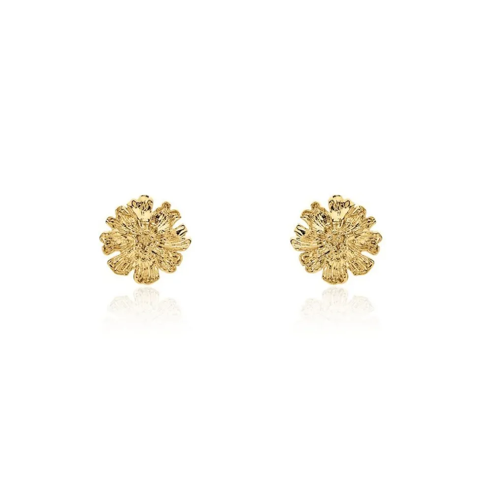 Boucles D'oreilles Puces Dyonis Acier Jaune