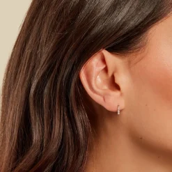 Boucles D'oreilles Puces Damion Or Jaune Oxyde De Zirconium