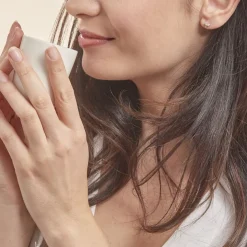 Boucles D'oreilles Puces Evaelle Papillon Or Jaune Oxyde De Zirconium