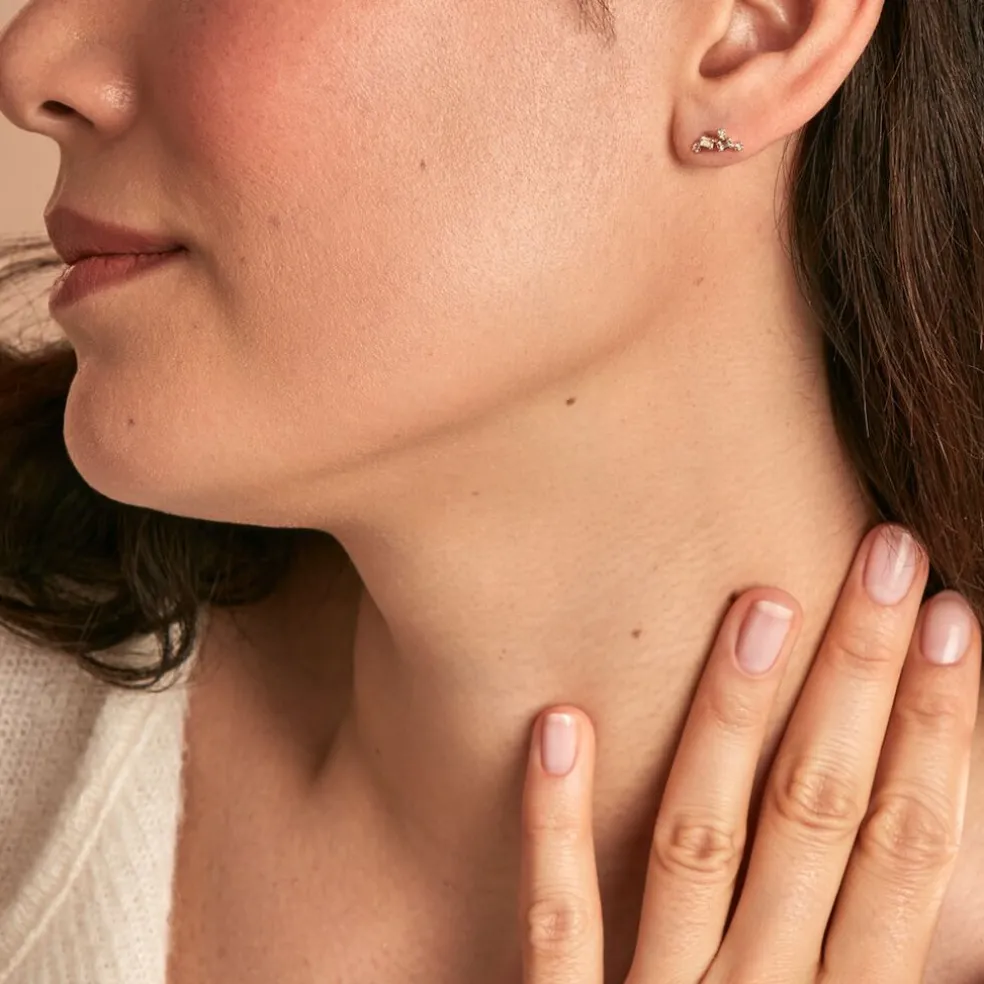 Boucles D'oreilles Puces Joy Or Jaune Diamant