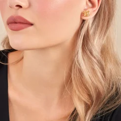 Boucles D'oreilles Puces Leonidas Or Jaune