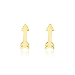 Boucles D'oreilles Puces Or Jaune Gnazi