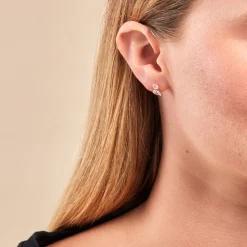 Boucles D'oreilles Puces Shiny Garden Or Jaune Oxyde De Zirconium