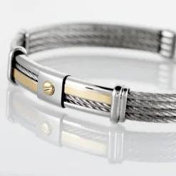 Bracelet Davilia Or Acier Bicolore