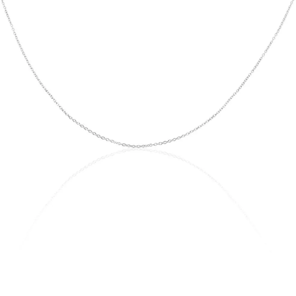 Chaîne Ilan Maille Forçat Ronde Or Blanc