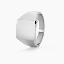 Chevaliere Acier Blanc Winebald