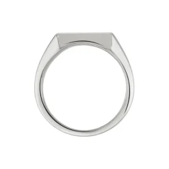 Chevaliere Acier Blanc Winebald