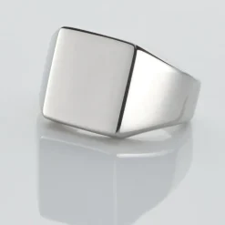 Chevaliere Acier Blanc Winebald