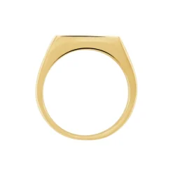 Chevalière Acier Doré Luciano