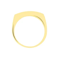 Chevalière Benton Rectangulaire Ligne Or Bicolore