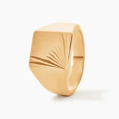 Chevalière Lionel Plaqué Or Jaune