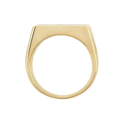 Chevalière Plaqué Hadrien Onyx