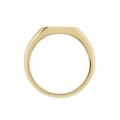 Chevalière Plaqué Or Jaune Steven Email Noir