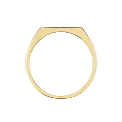 Chevalière Plaqué Or Jaune Barth Email Noir