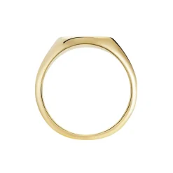 Chevalière Plaqué Or Jaune Hadrian