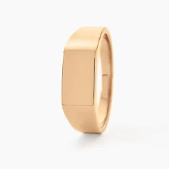 Chevalière Plaqué Or Jaune Alfonso