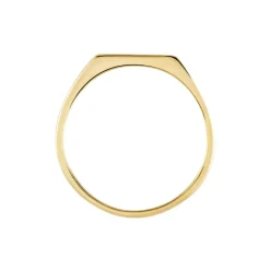 Chevalière Plaqué Or Jaune Alfonso