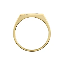 Chevalière Plaqué Or Jaune Asa Oxydes De Zirconium