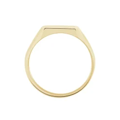 Chevalière Rafael Plaqué Or Jaune