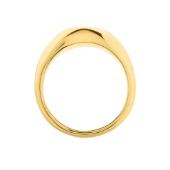 Chevalière Sabadell Acier Jaune