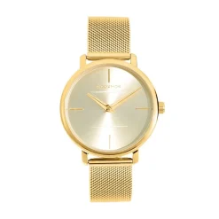 Coffret De Montre Codhor Amele Doré