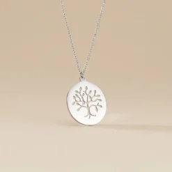 Collier Acier Blanc Ganet