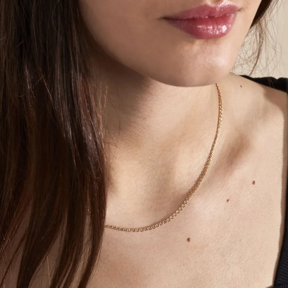 Collier Capucin Or Jaune Maille Marine Plate