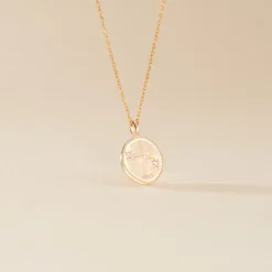 Collier Iago Plaqué Or Oxydes De Zirconium