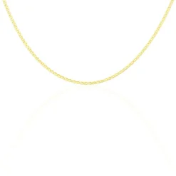 Collier Or Jaune Capucin Maille Marine