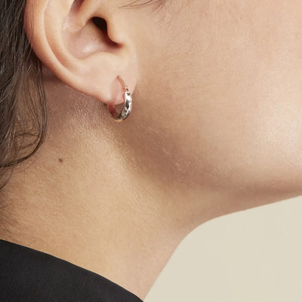 Creoles Argent Rose Diane