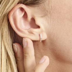 Creoles Or Rose Jacoba Oxydes