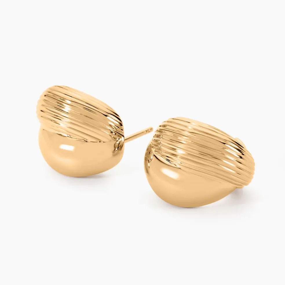 Créoles Amae Plaque Or Jaune